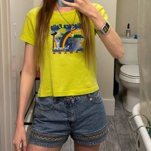 vintage 90s niagara falls baby tee